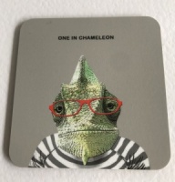 ''One in Chameleon'' Coaster by Scaffardi